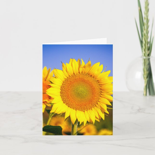 Carte De Remerciements Beauté des tournesols (Devant)