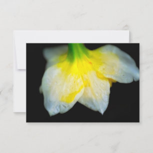 Carte De Remerciements Beauté en dessous