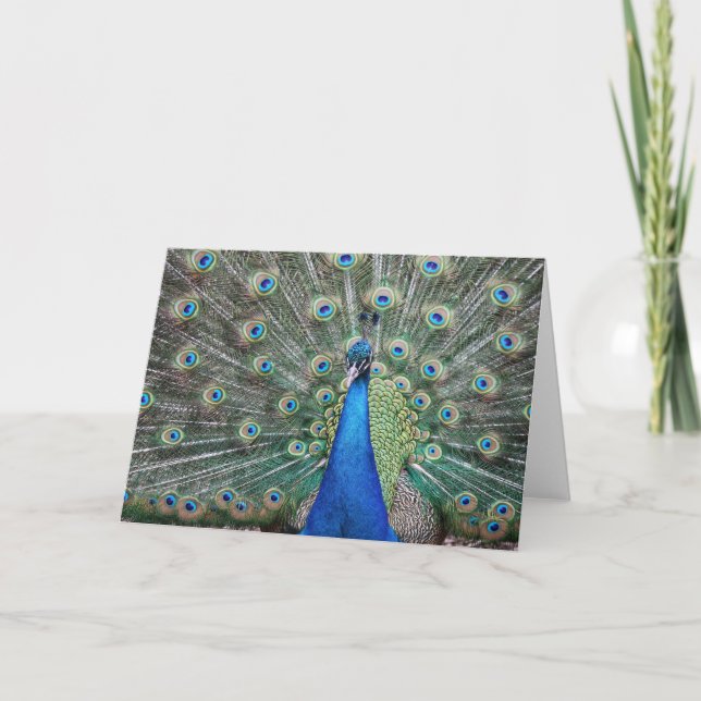 Carte De Remerciements BeautifulPeacock (Devant)