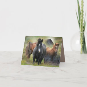 Carte De Remerciements Beaux chevaux et grange rustique
