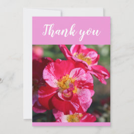 Carte De Remerciements Belle Fleur de Rose Rayée Rouge et Rose