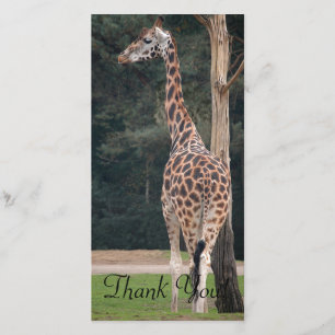 Carte De Remerciements Belle girafe