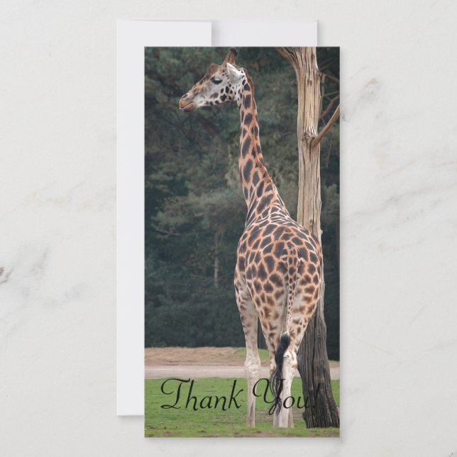 Carte De Remerciements Belle girafe (Devant)