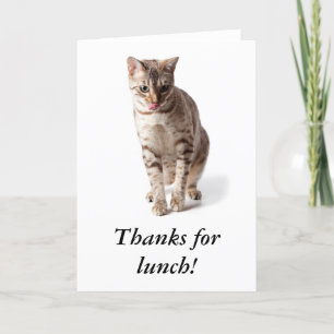 Carte De Remerciements Bengal kitten remercie pour son déjeuner