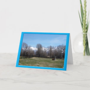 Carte De Remerciements Bétail et monts Ruby