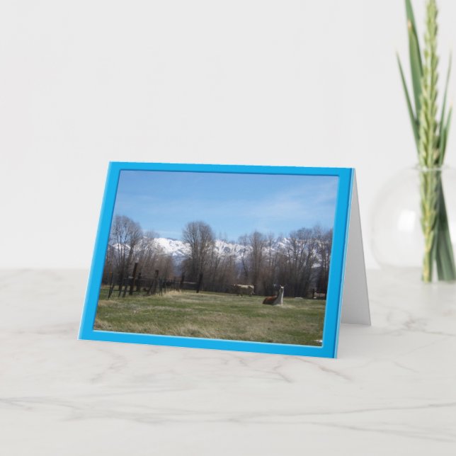 Carte De Remerciements Bétail et monts Ruby (Devant)