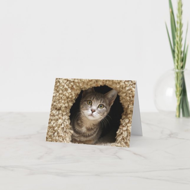 Carte De Remerciements Betsy Ross (Devant)