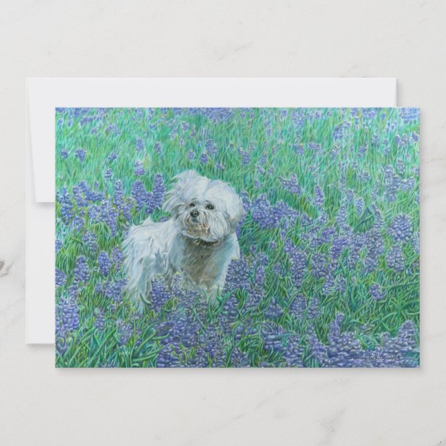 Carte De Remerciements Bichon Frise dans les Bluebonnets (Devant)