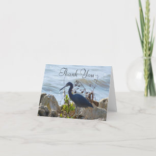 Carte De Remerciements Bird By the Bay Petit Héron Bleu Amateurs d'oiseau