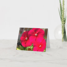 Carte de remerciements blanc - Fleur rose