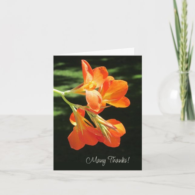 Carte de remerciements blanc Lily Canne Orange (Devant)