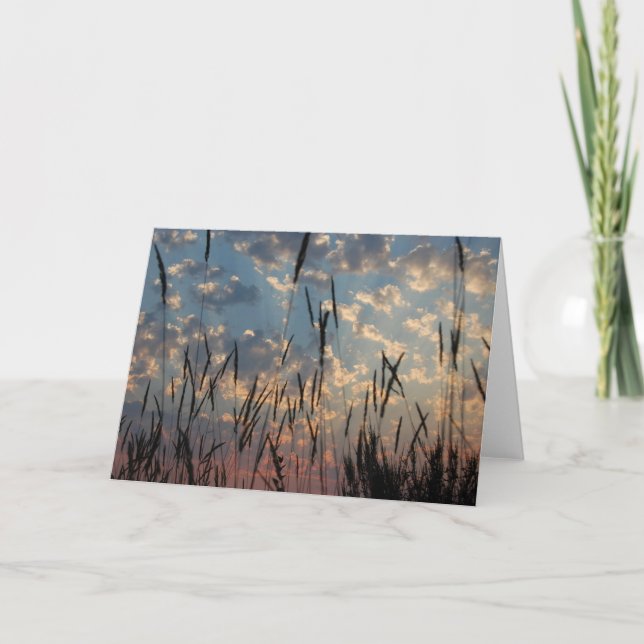 Carte De Remerciements Blank Card (Devant)