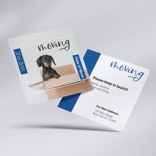 Carte De Remerciements Bleu Nous déménageons Dachshund Chien dans la cart (Créateur téléchargé)