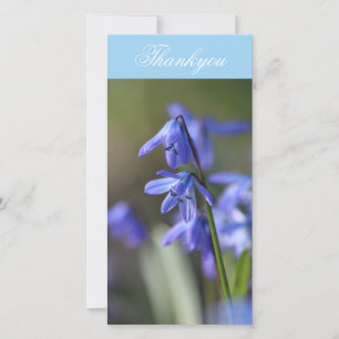 Carte De Remerciements Bleu Scilla siberica (Squill en Bois) Fleurs