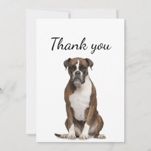 Carte De Remerciements Boîte de remerciement Chien Boxer Animal de compag