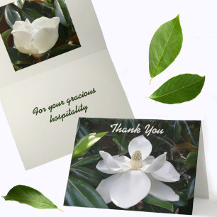 Carte De Remerciements Botanique photographique de Magnolia blanc