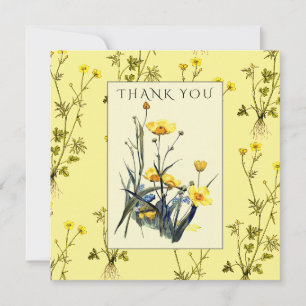 Carte De Remerciements Boutons d'Or Fleurs Sauvages Florale Campagne