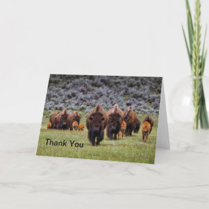 Carte De Remerciements Buffalo 2 Thank You Card