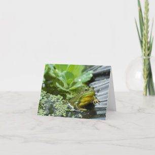 Carte De Remerciements Bully the Bullfrog