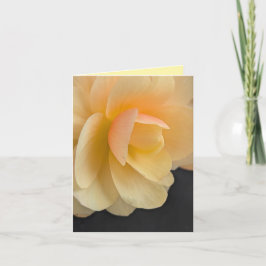 Carte De Remerciements Buttery Begonia Note Card