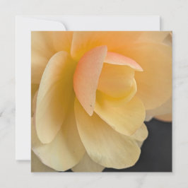 Carte De Remerciements Buttery Begonia Note Card
