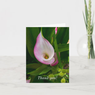 Carte de remerciements - Calla Roll