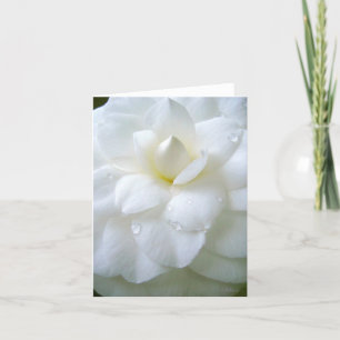 Carte De Remerciements Camellia blanche avec rosée