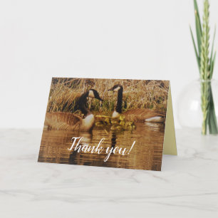 Carte De Remerciements Canada Goose Famille Bébés mignons Goslings Oies