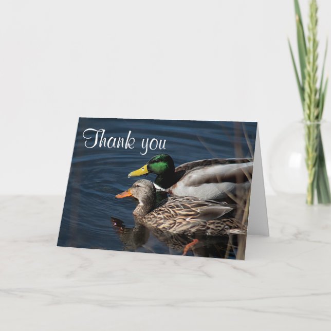 Carte De Remerciements Canards colverts (Devant)
