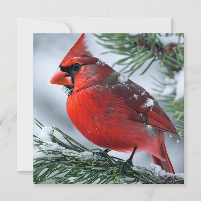 Carte De Remerciements Cardinal d'hiver Pine d'oiseaux rouges Mariage de  (Devant)