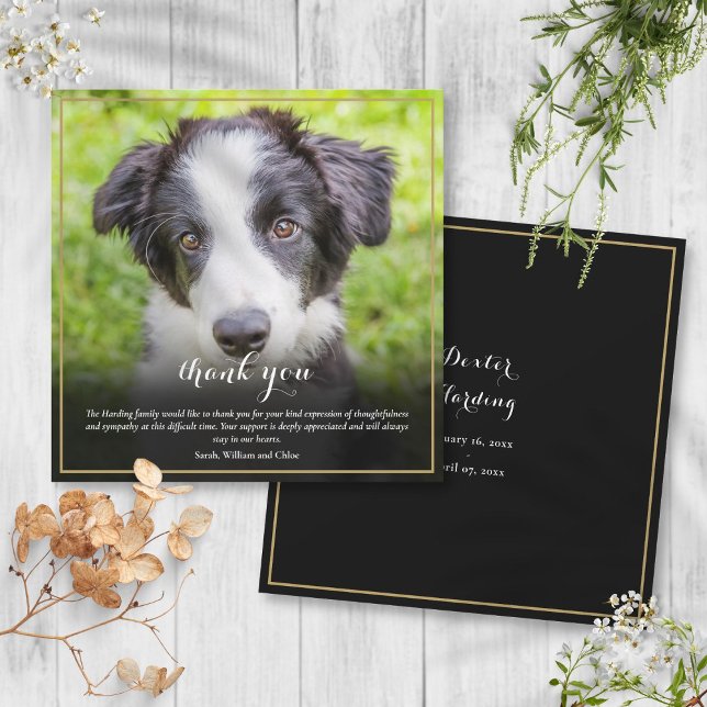 Carte De Remerciements Carré photo de la perte de l'animal (Pet Loss Sympathy Photo Square Thank You Card)