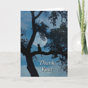 Carte De Remerciements Cat Thank You Card for Vet, Veterinarian Service