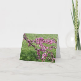 Carte De Remerciements Cercis