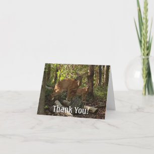 Carte De Remerciements Cerf et Biche au Parc National de Shenandoah