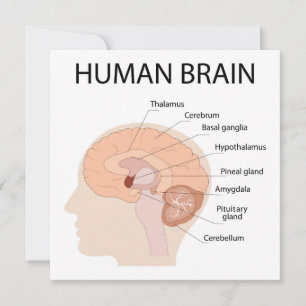 Carte De Remerciements cerveau humain