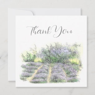 Carte De Remerciements Champ Lavender