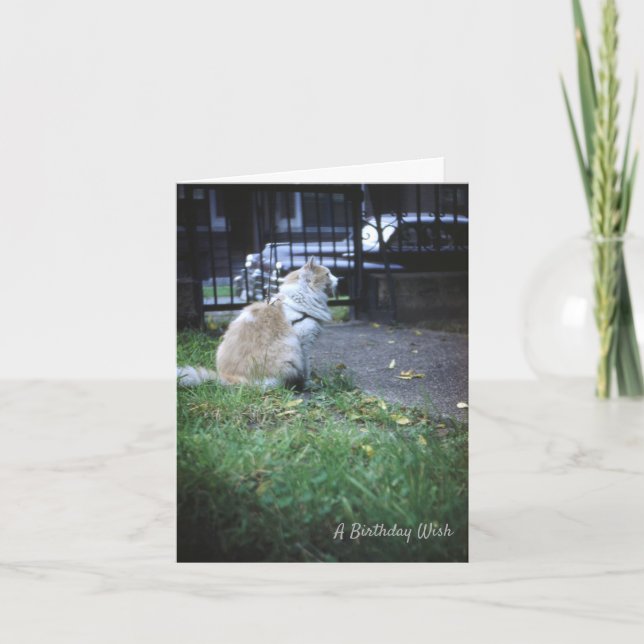 Carte De Remerciements Chat Anniversaire (Devant)