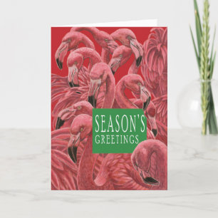 Carte De Remerciements Chat de Noël et flamboyant des Flamants roses rose