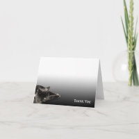 Chat noir de sommeil sur le gradient noir