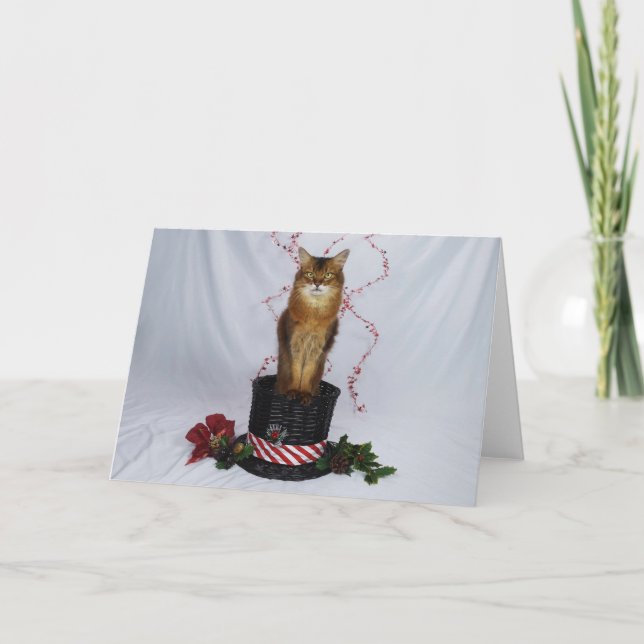 Carte De Remerciements Chat somalien dans un panier Casquette de Noël Sal (Devant)