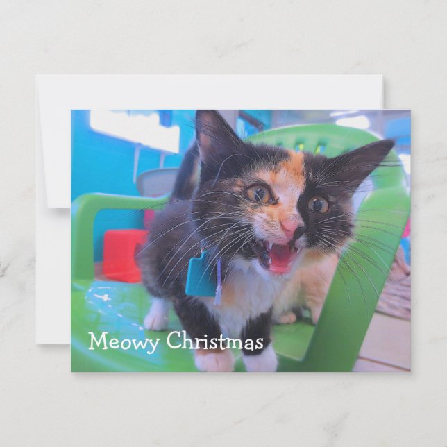Carte De Remerciements Chaton Meowy de calicot (Devant)