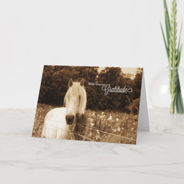 Carte De Remerciements Cheval blanc de Sepia Ouest (Devant)