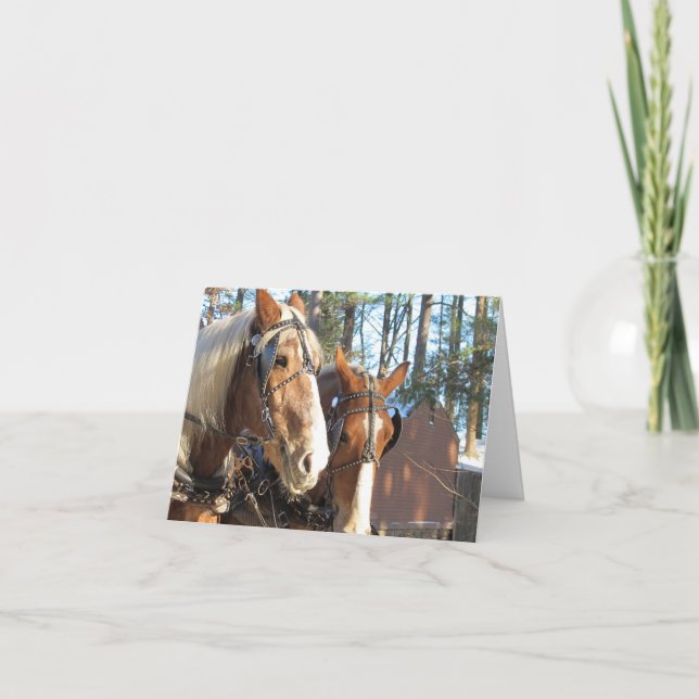 Carte De Remerciements Chevaux d'hiver à Sturbridge Note Card Blank Insid (Devant)