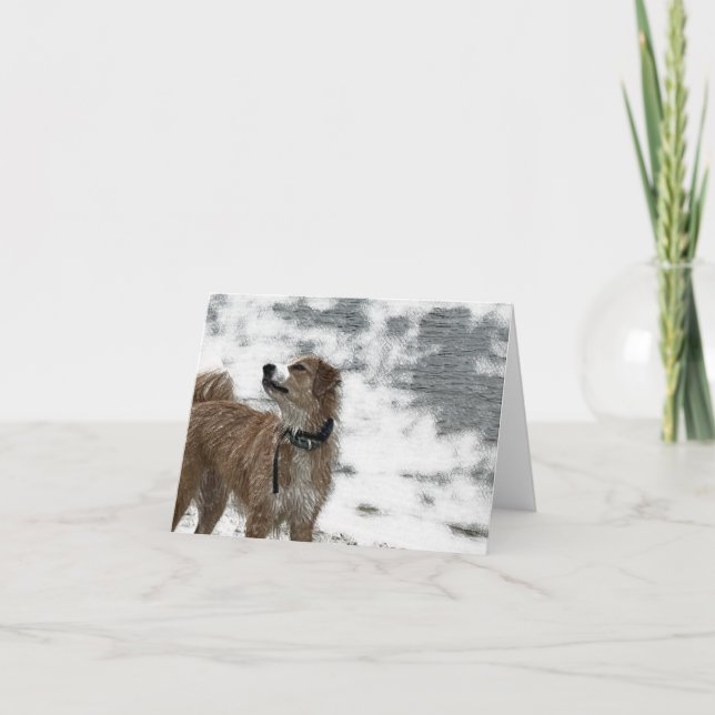 Carte De Remerciements Chien (Devant)