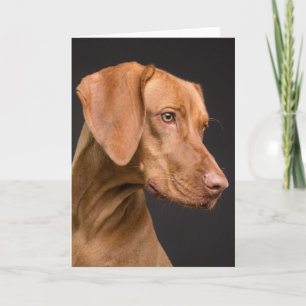 Carte De Remerciements Chien sportif Vizsla