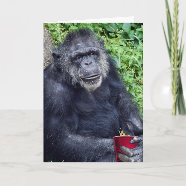 Carte De Remerciements Chimpanzé d'anniversaire avec la Coupe Rouge (Devant)