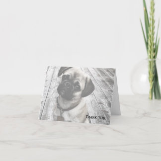 Carte De Remerciements Chiot précieux de carlin en noir et blanc