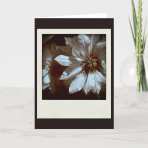 Carte De Remerciements Clematis 1 Condoléances Sympathy Note card