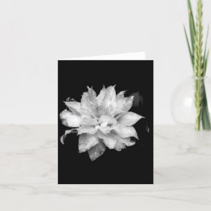 Carte De Remerciements Clematis 2 Nota Vierge Condoléances Sympathie
