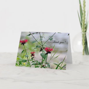 Carte De Remerciements Colibri aux fleurs - ADK